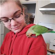 Tuteur de soutien scolaire. Pouvant donner des cours dans n'importe quel matière et de différentes manières pour aider l'étudiant